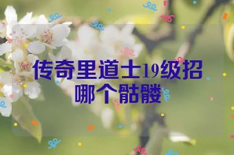 传奇里道士19级招哪个骷髅