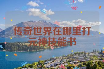传奇世界在哪里打元神技能书