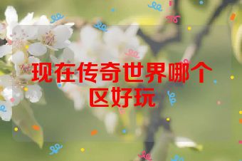 现在传奇世界哪个区好玩