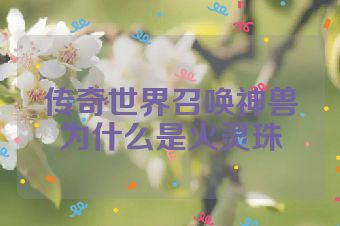 传奇世界召唤神兽为什么是火灵珠