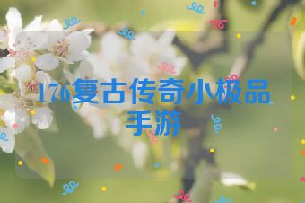 176复古传奇小极品手游