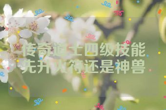 传奇道士四级技能先升火符还是神兽