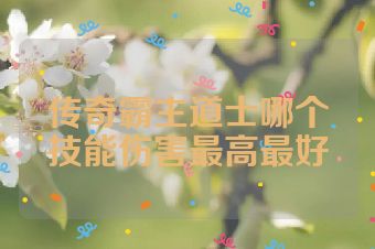 传奇霸主道士哪个技能伤害最高最好
