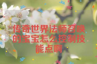 传奇世界法师召唤的宝宝怎么控制技能点啊