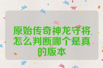 原始传奇神龙守将怎么判断哪个是真的版本