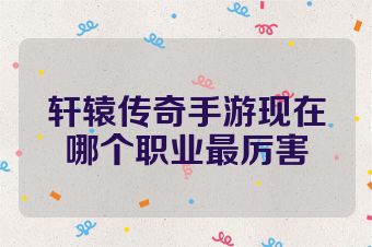 轩辕传奇手游现在哪个职业最厉害