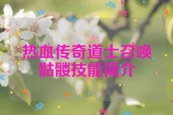 热血传奇道士召唤骷髅技能简介