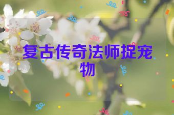 复古传奇法师捉宠物