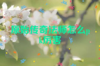 原始传奇法师怎么pk厉害