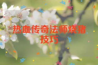 热血传奇法师烧猪技巧