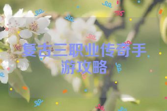 复古三职业传奇手游攻略