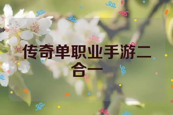 传奇单职业手游二合一