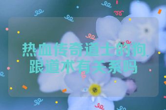热血传奇道士的狗跟道术有关系吗