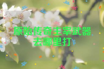 原始传奇主宰武器去哪里打