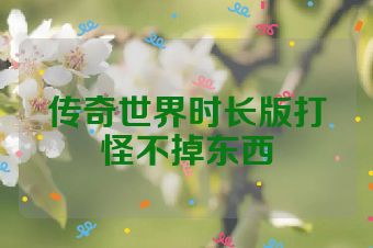 传奇世界时长版打怪不掉东西