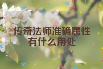传奇法师准确属性有什么用处