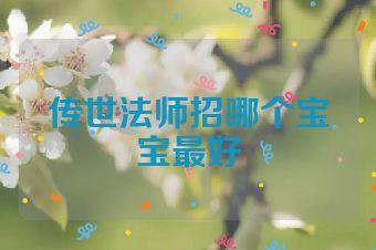 传世法师招哪个宝宝最好