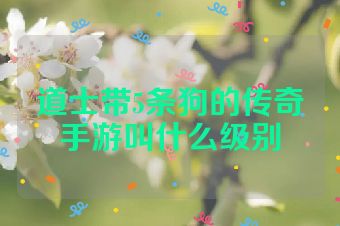 道士带5条狗的传奇手游叫什么级别