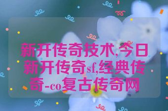 新开传奇技术,今日新开传奇sf,经典传奇-co复古传奇网
