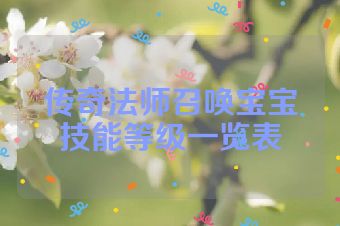 传奇法师召唤宝宝技能等级一览表