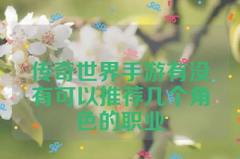 传奇世界手游有没有可以推荐几个角色的职业