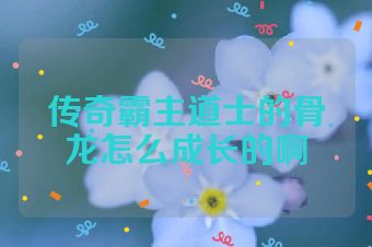传奇霸主道士的骨龙怎么成长的啊