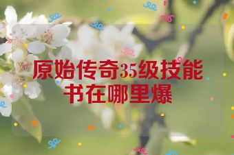 原始传奇35级技能书在哪里爆