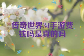传奇世界3d手游费钱吗是真的吗