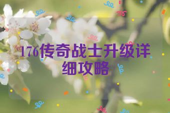 176传奇战士升级详细攻略