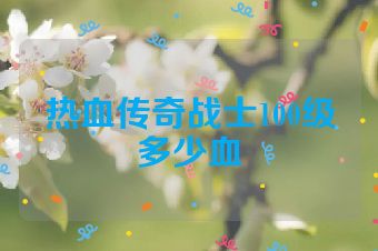 热血传奇战士100级多少血