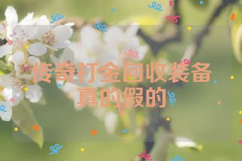 传奇打金回收装备真的假的