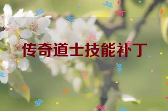 传奇道士技能补丁