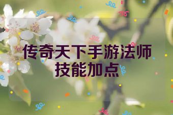 传奇天下手游法师技能加点