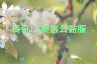 传奇176复古公益服