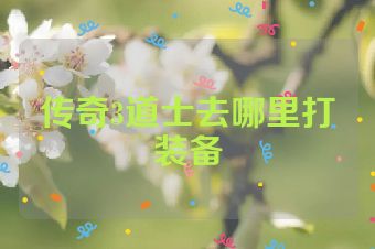 传奇3道士去哪里打装备