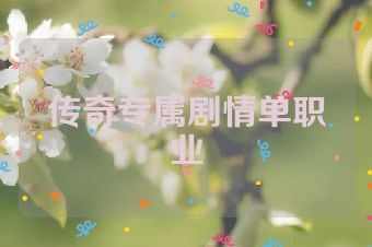 传奇专属剧情单职业