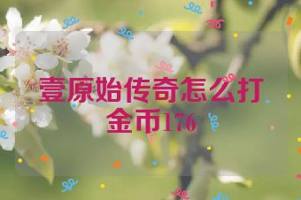 壹原始传奇怎么打金币176