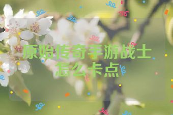 原始传奇手游战士怎么卡点