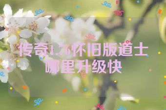传奇1.76怀旧版道士哪里升级快