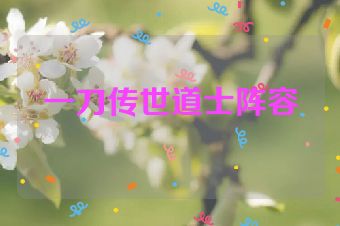 一刀传世道士阵容