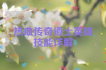 热血传奇道士英雄技能详解