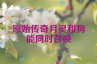 原始传奇月灵和狗能同时召唤