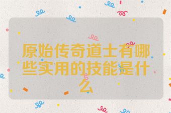 原始传奇道士有哪些实用的技能是什么