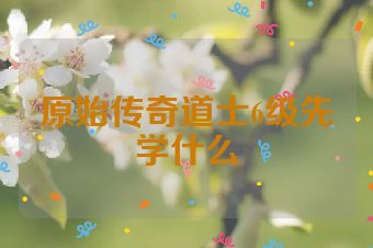 原始传奇道士6级先学什么