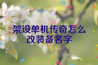 架设单机传奇怎么改装备名字