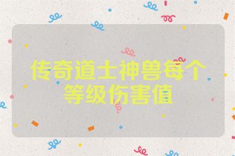 传奇道士神兽每个等级伤害值