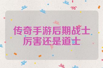 传奇手游后期战士厉害还是道士