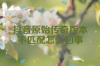抖音原始传奇版本不匹配怎么回事