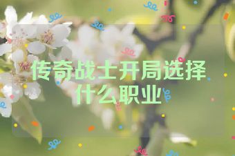 传奇战士开局选择什么职业