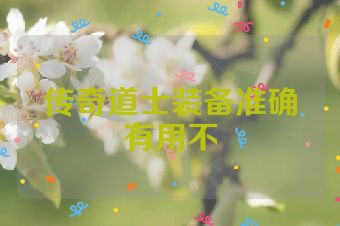 传奇道士装备准确有用不